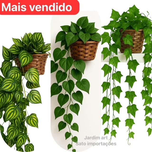 Arranjo com 3 Trepadeiras de Hera e Vaso Trançado